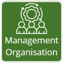 Management et Organisation